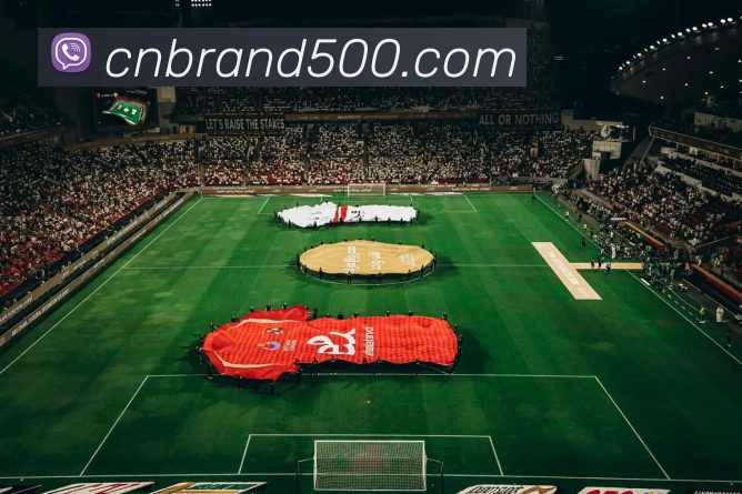 500彩票服务体系